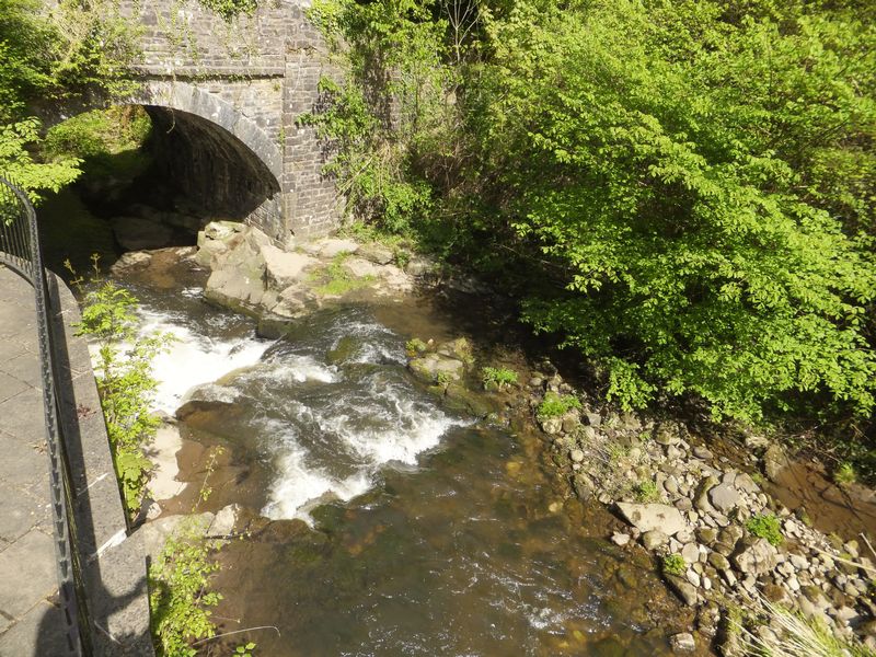 Stream- click for photo gallery